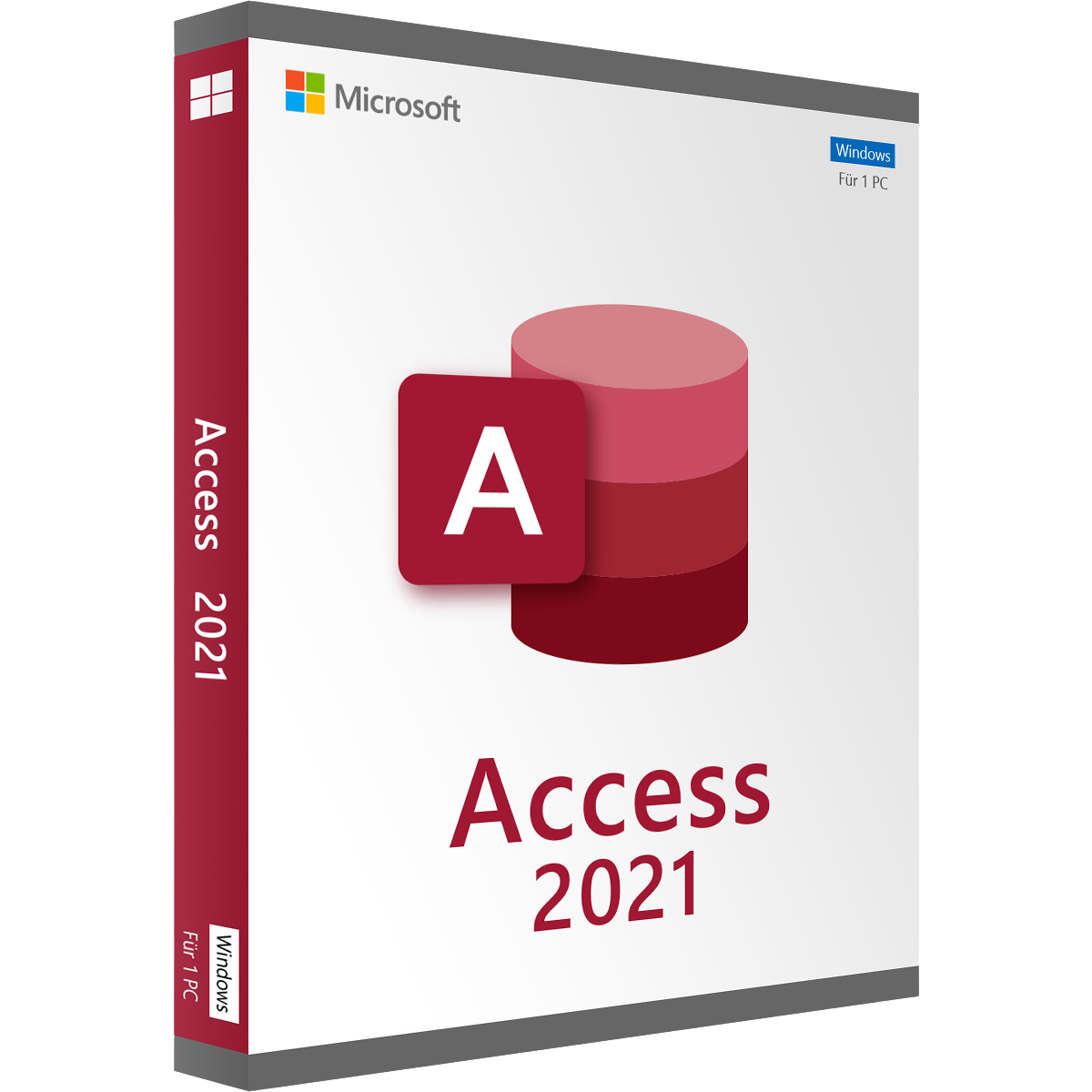Microsoft Access 2021 – für Windows – Dauerlizenz