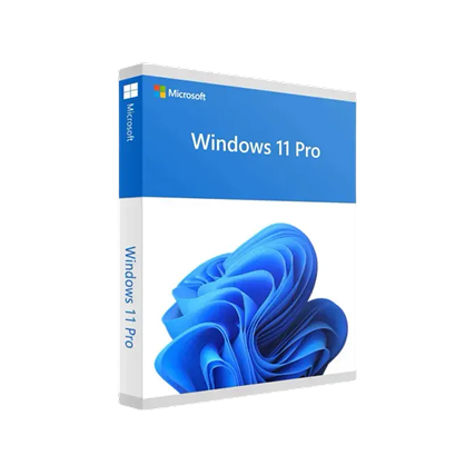 Windows 11 Pro