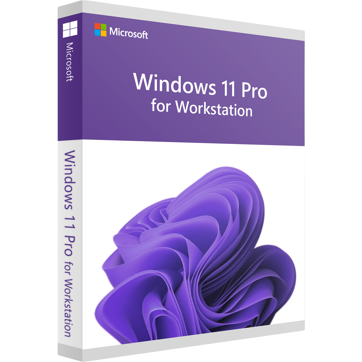 Microsoft Windows 11 Pro for Workstations – Dauerlizenz