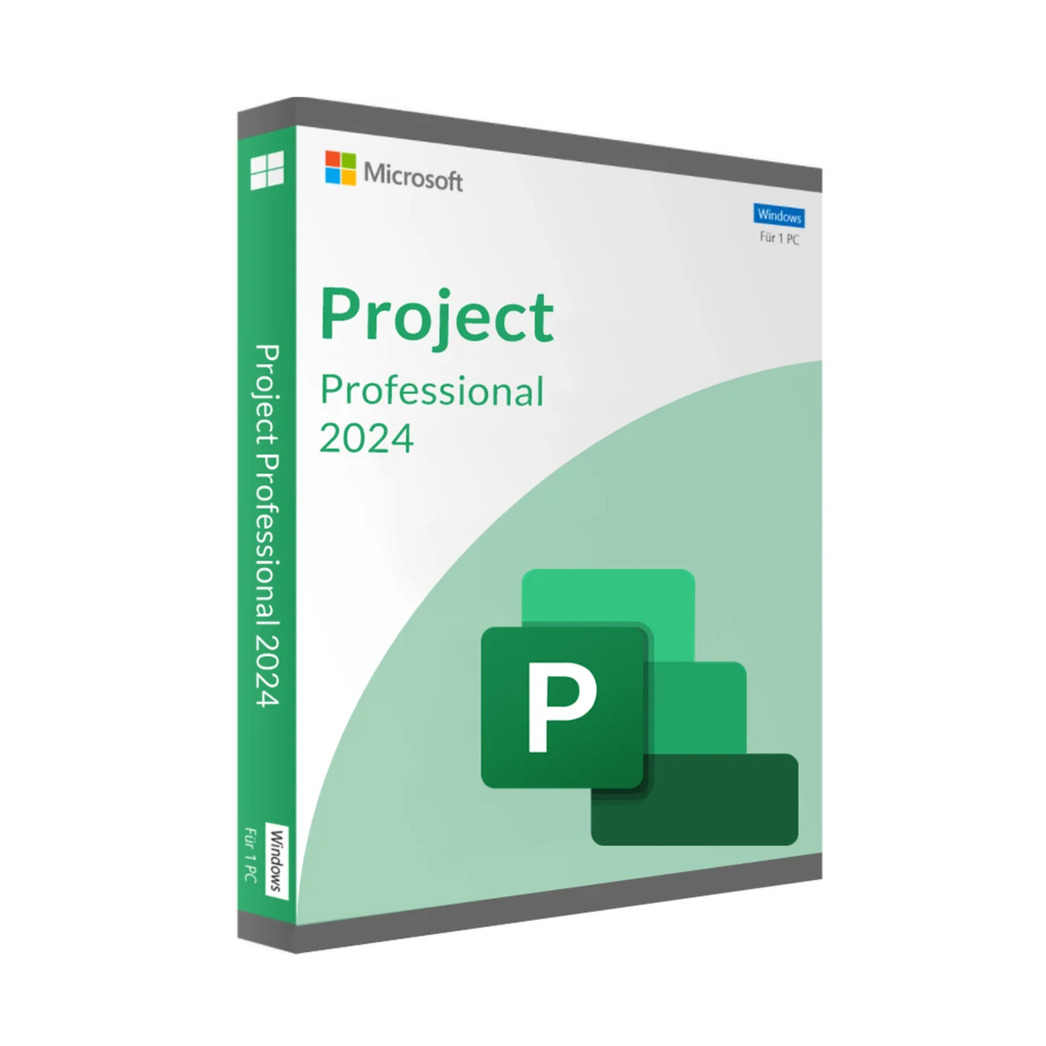 Microsoft Project 2024 Professional