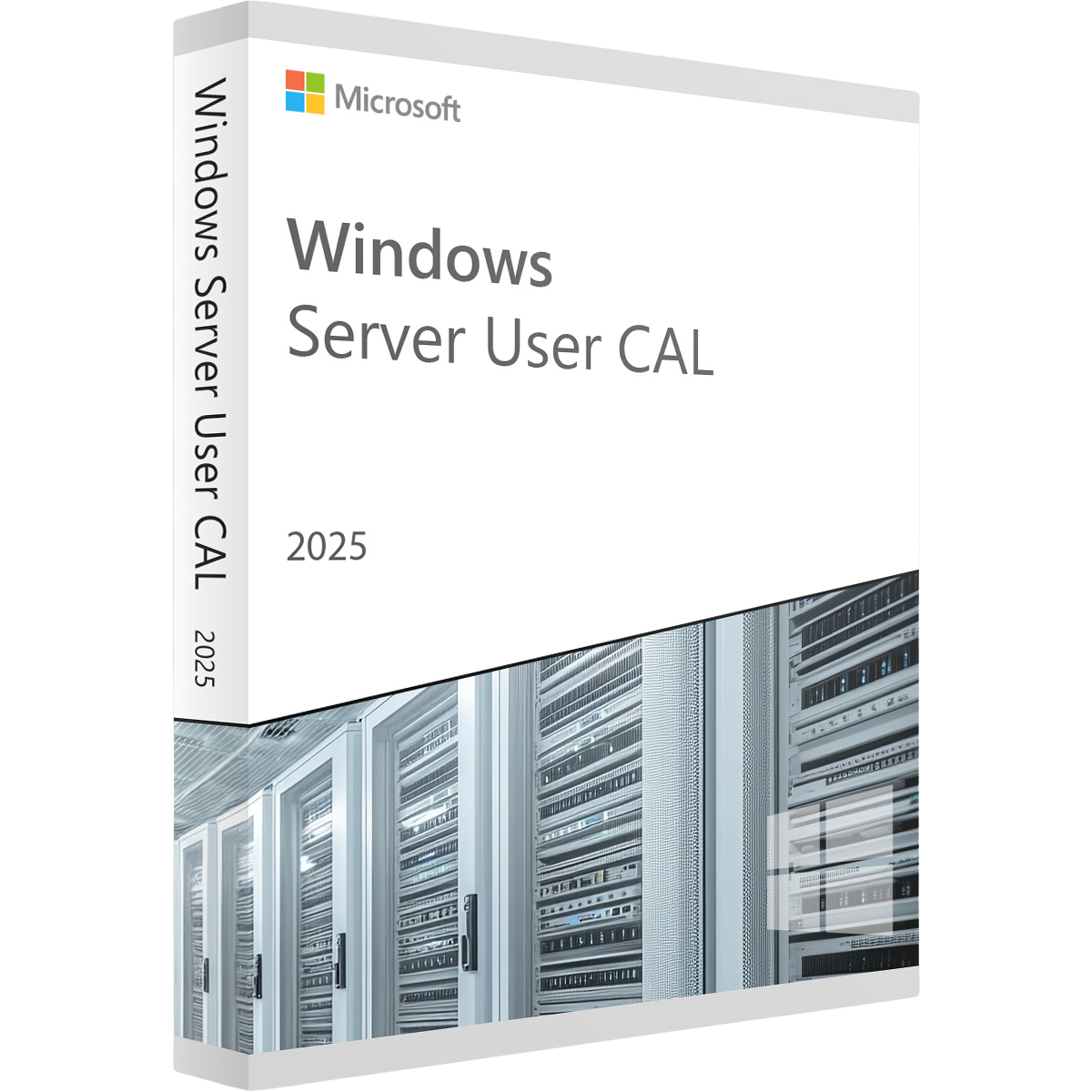 CALs / Zugriffslizenzen